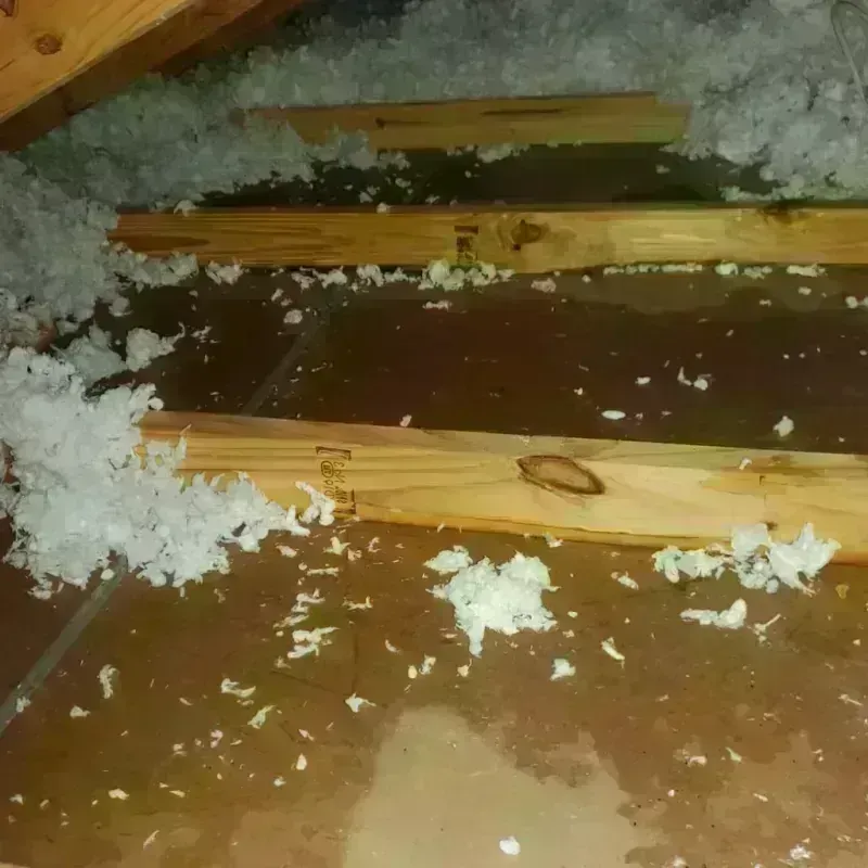 Attic Water Damage in Port Allen, LA